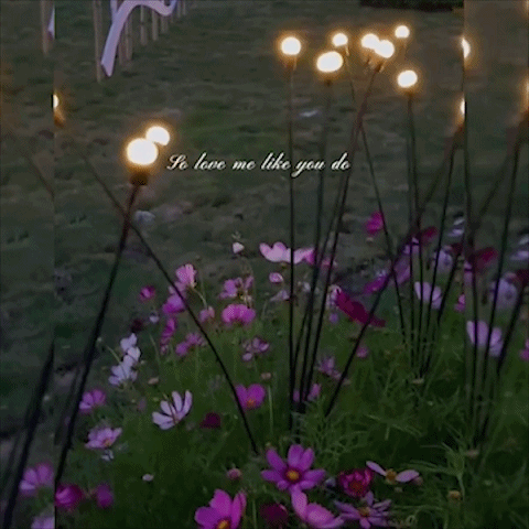7f1527bb22b0b2ca618d71847bdc395942333b34-1.gif