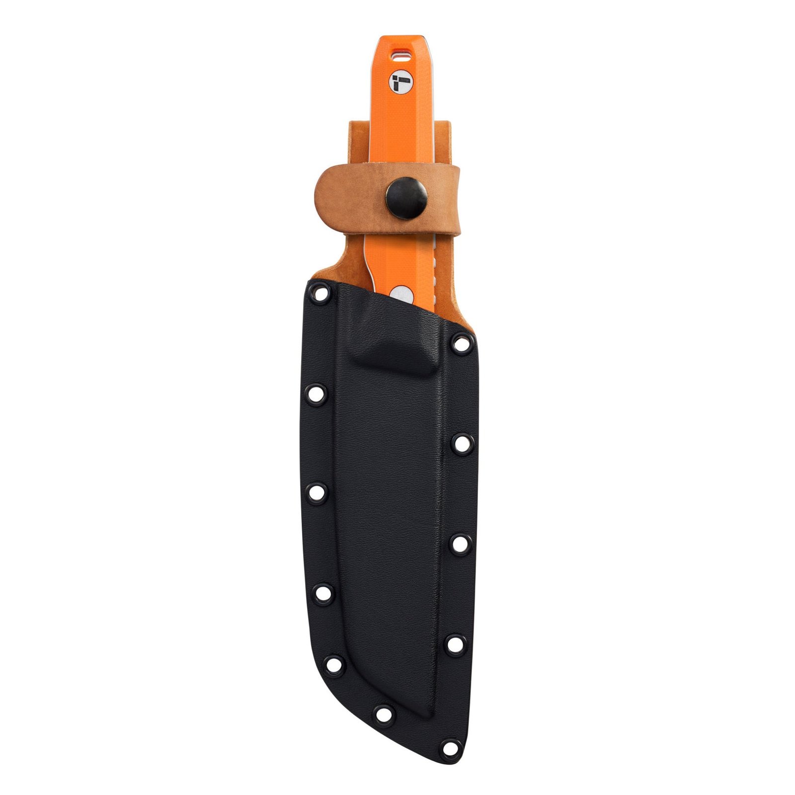 Pioneer™ - Image 2